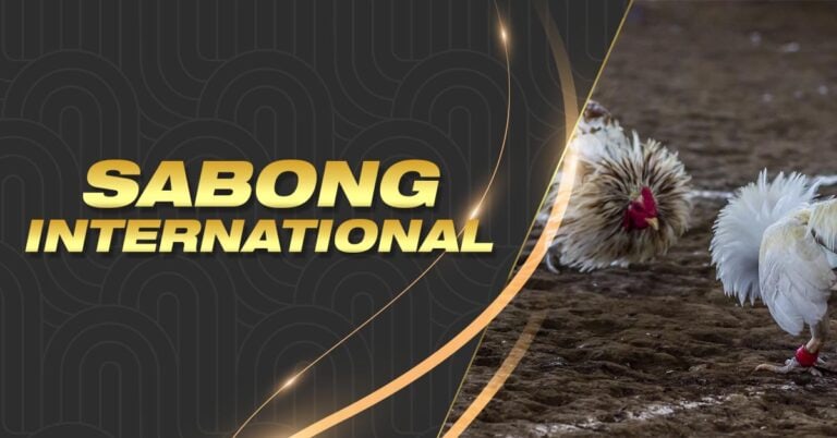 hb88 slot what does mitski’s song i bet on losing dogs mean