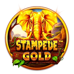 club asia casino how much does bet plus cost